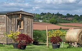 The Queen Bee Cabin